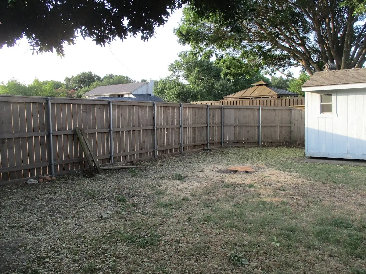 Cleared yard after professional tree removal in Orrs Island