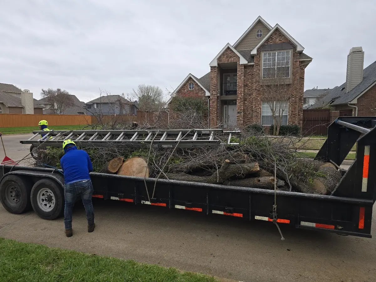 Expert Tree Fertilization with proper safety equipment in Orrs Island